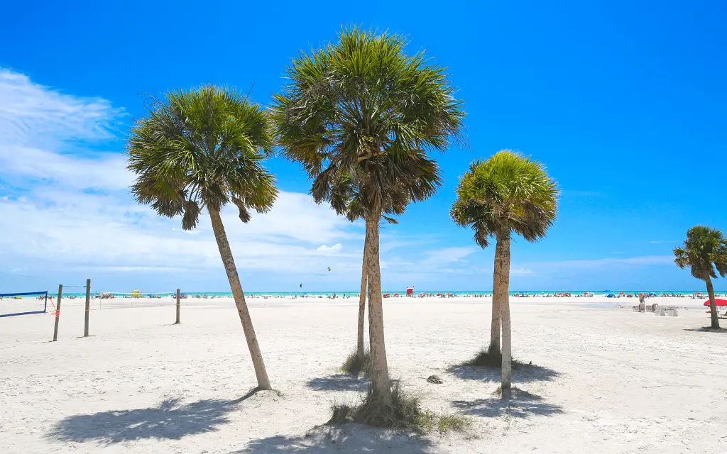 Siesta Key Beach in Sarasota - Bath and Racquet Residences